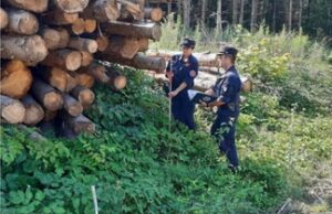 carabinieri forestali