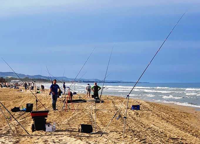 friendship cup 2021 surfcasting