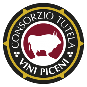 Vini piceni